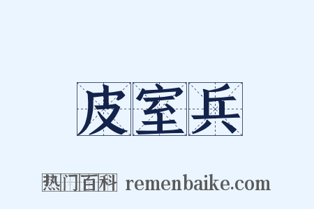 皮室兵是什么意思的图片